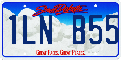 SD license plate 1LNB55