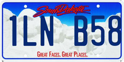 SD license plate 1LNB58