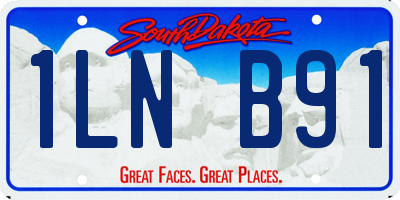 SD license plate 1LNB91