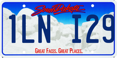 SD license plate 1LNI29