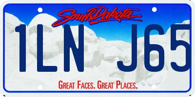 SD license plate 1LNJ65