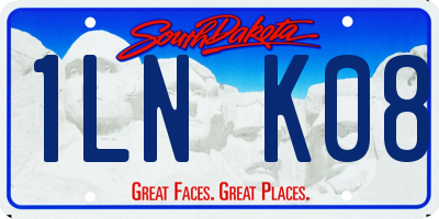 SD license plate 1LNK08