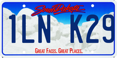 SD license plate 1LNK29
