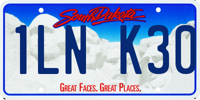 SD license plate 1LNK30