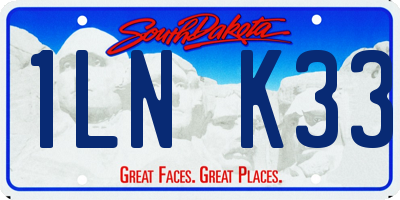 SD license plate 1LNK33