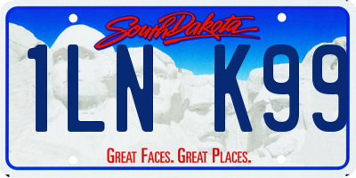 SD license plate 1LNK99