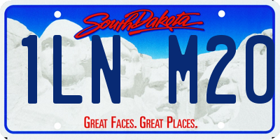 SD license plate 1LNM20