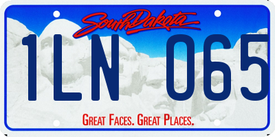 SD license plate 1LNO65