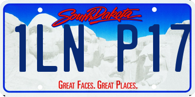 SD license plate 1LNP17