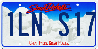 SD license plate 1LNS17