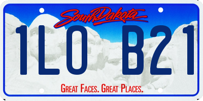 SD license plate 1LOB21