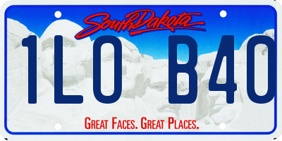 SD license plate 1LOB40