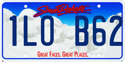 SD license plate 1LOB62
