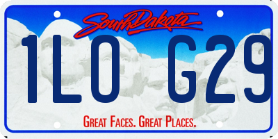 SD license plate 1LOG29