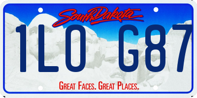 SD license plate 1LOG87