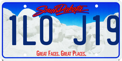 SD license plate 1LOJ19