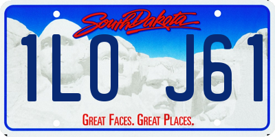 SD license plate 1LOJ61