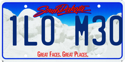 SD license plate 1LOM30
