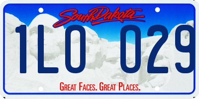 SD license plate 1LOO29