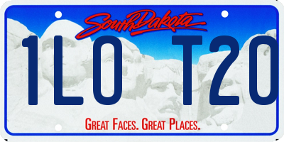 SD license plate 1LOT20