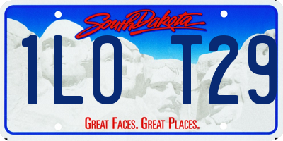 SD license plate 1LOT29