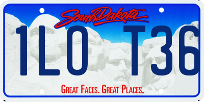 SD license plate 1LOT36