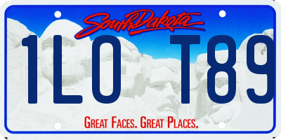 SD license plate 1LOT89