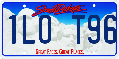 SD license plate 1LOT96
