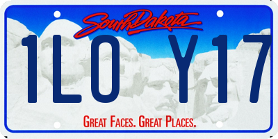 SD license plate 1LOY17