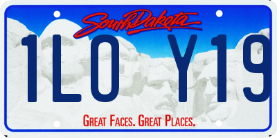 SD license plate 1LOY19