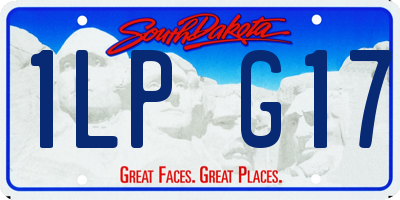 SD license plate 1LPG17