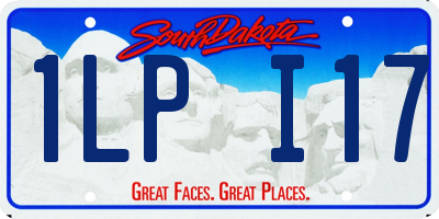 SD license plate 1LPI17