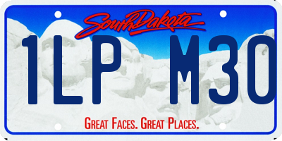 SD license plate 1LPM30