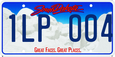 SD license plate 1LPO04