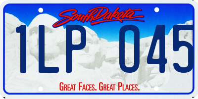 SD license plate 1LPO45