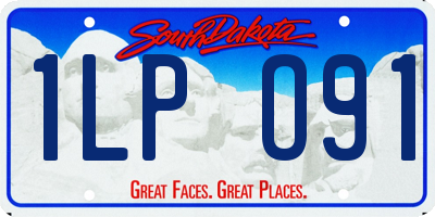 SD license plate 1LPO91