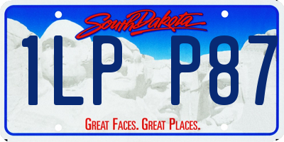 SD license plate 1LPP87