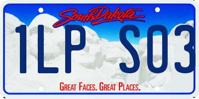 SD license plate 1LPS03