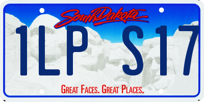 SD license plate 1LPS17