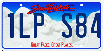 SD license plate 1LPS84