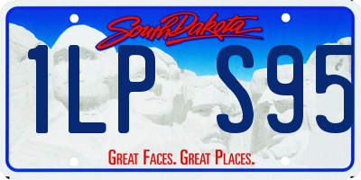 SD license plate 1LPS95