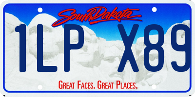 SD license plate 1LPX89