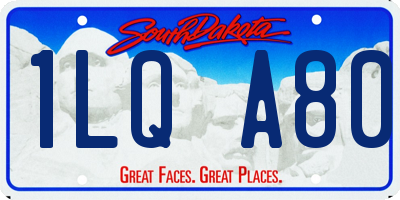 SD license plate 1LQA80