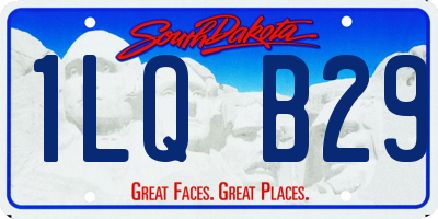 SD license plate 1LQB29