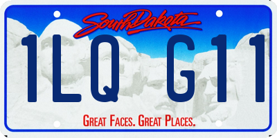 SD license plate 1LQG11