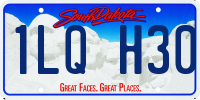 SD license plate 1LQH30