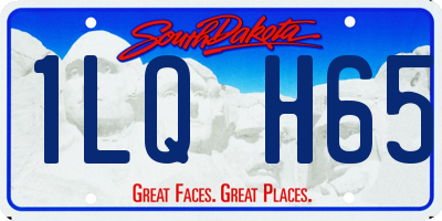SD license plate 1LQH65