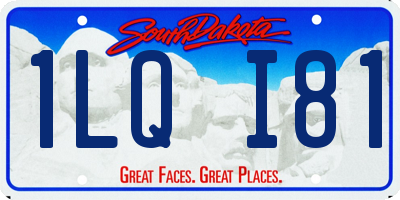 SD license plate 1LQI81
