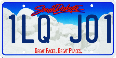 SD license plate 1LQJ01