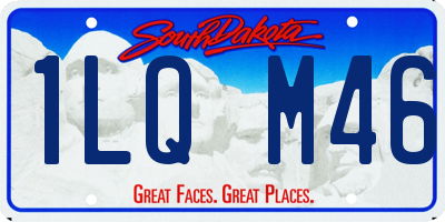 SD license plate 1LQM46